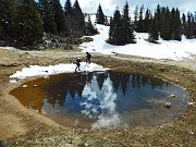 69 Riflessi nella pozza d'acqua